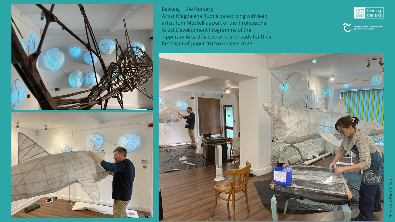 Creating Basking - The Nursery