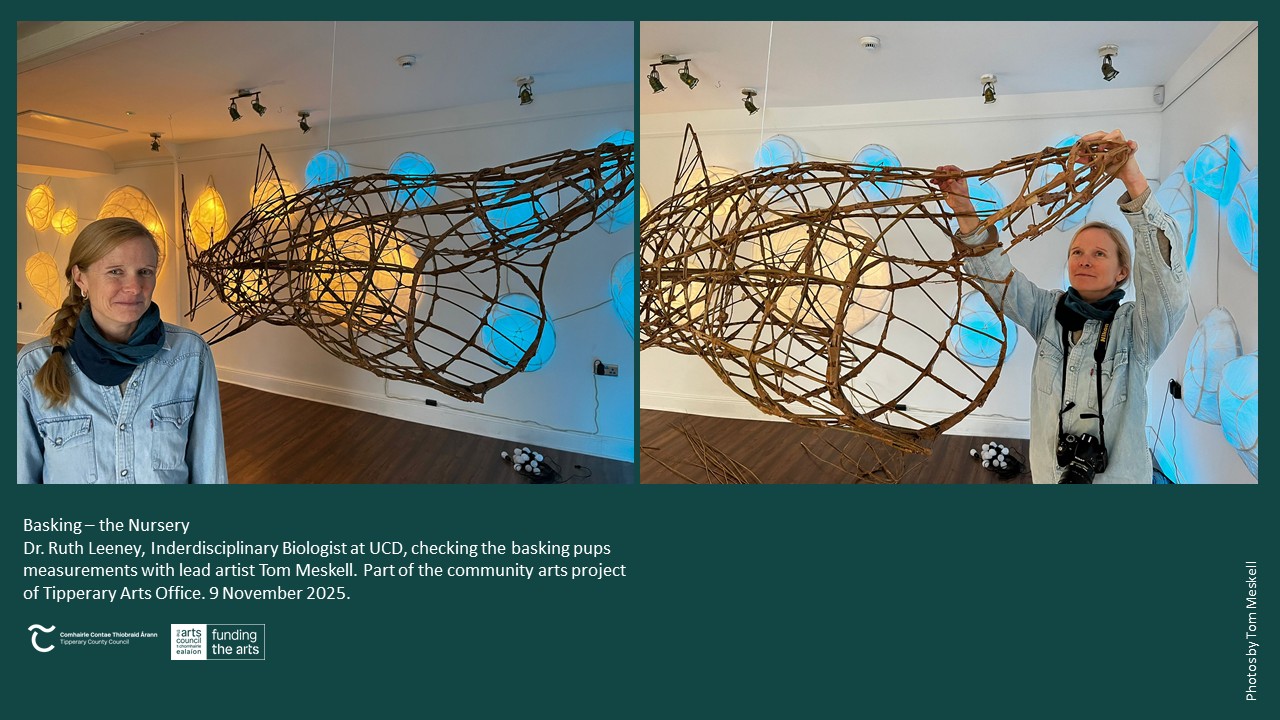 Creating Basking - The Nursery