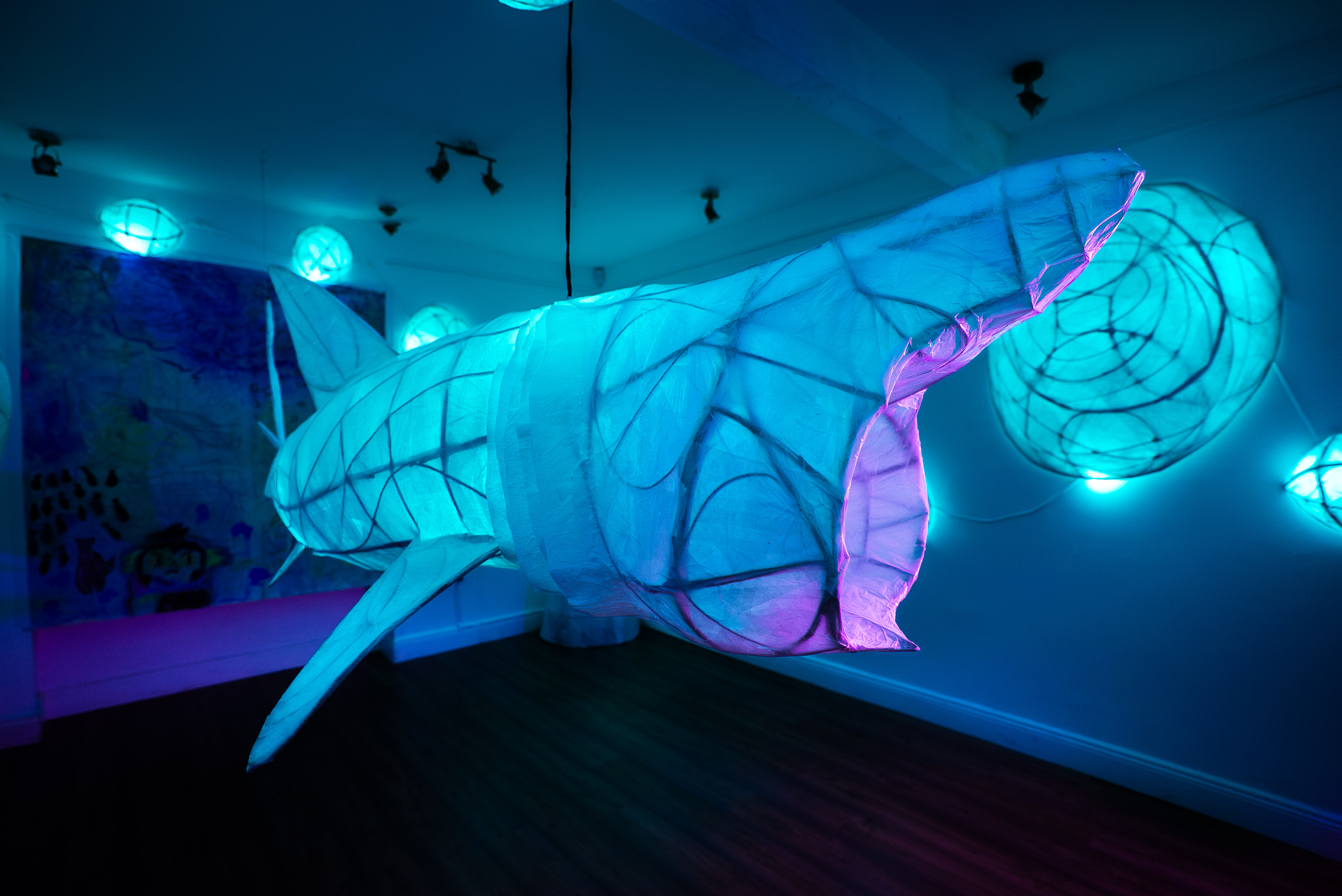 Basking - The Nursery exhibition 