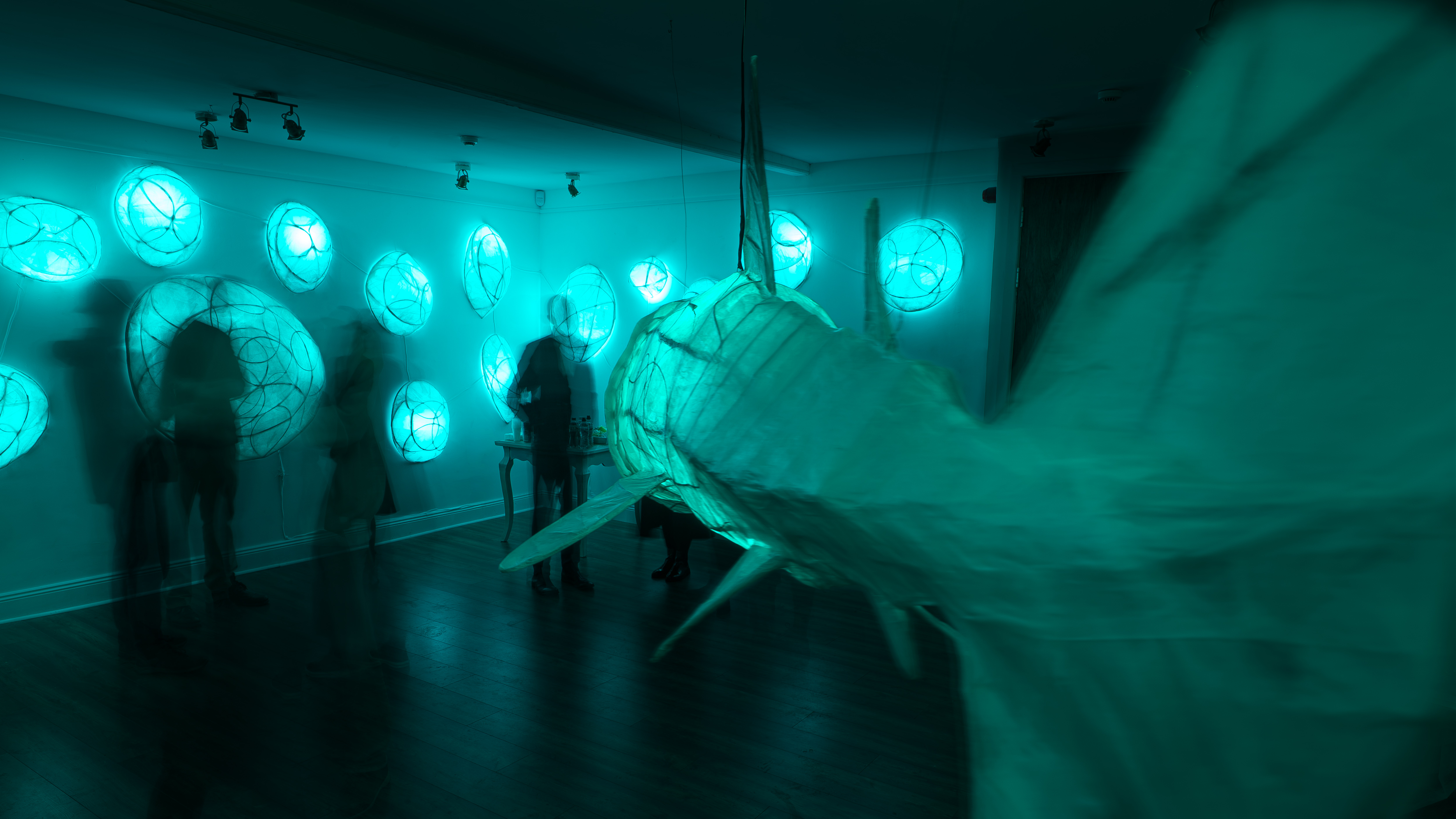 photo exhibition Basking - the Nursery