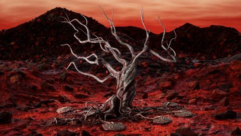 The Song of the Bleeding Tree