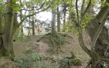 A Site of Knowing Unknowing